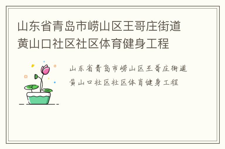 山東省青島市嶗山區(qū)王哥莊街道黃山口社區(qū)社區(qū)體育健身工程