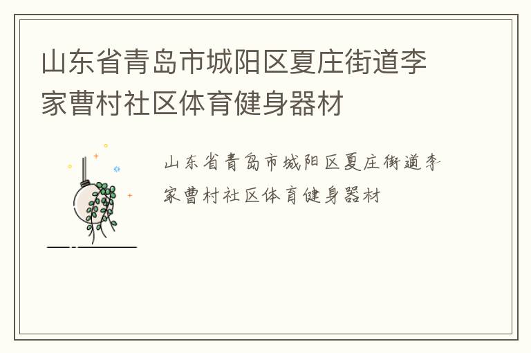 山東省青島市城陽區(qū)夏莊街道李家曹村社區(qū)體育健身器材