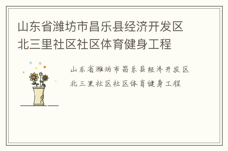 山東省濰坊市昌樂縣經(jīng)濟(jì)開發(fā)區(qū)北三里社區(qū)社區(qū)體育健身工程