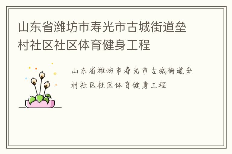 山東省濰坊市壽光市古城街道壘村社區(qū)社區(qū)體育健身工程