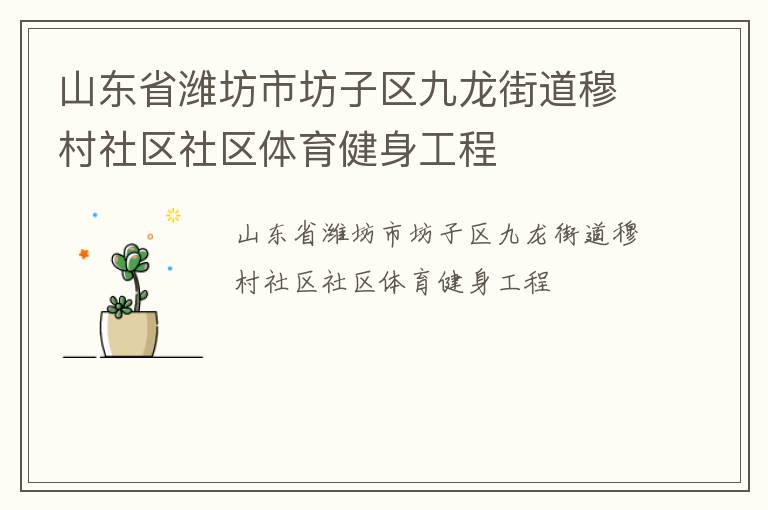 山東省濰坊市坊子區(qū)九龍街道穆村社區(qū)社區(qū)體育健身工程