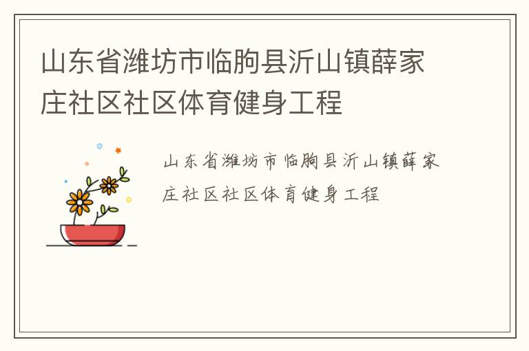 山東省濰坊市臨朐縣沂山鎮(zhèn)薛家莊社區(qū)社區(qū)體育健身工程