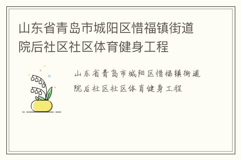 山東省青島市城陽區(qū)惜福鎮(zhèn)街道院后社區(qū)社區(qū)體育健身工程