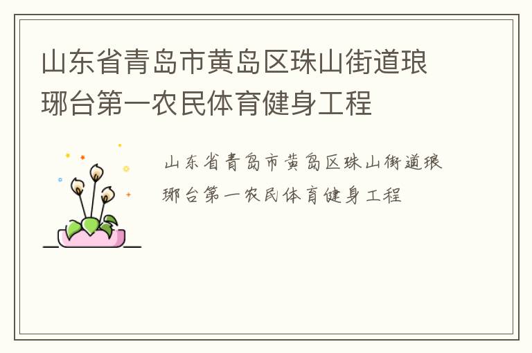 山東省青島市黃島區(qū)珠山街道瑯琊臺第一農(nóng)民體育健身工程