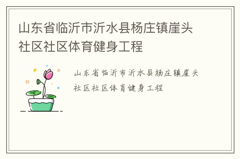 山東省臨沂市沂水縣楊莊鎮(zhèn)崖頭社區(qū)社區(qū)體育健身工程