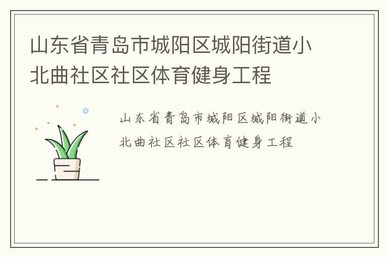 山東省青島市城陽(yáng)區(qū)城陽(yáng)街道小北曲社區(qū)社區(qū)體育健身工程