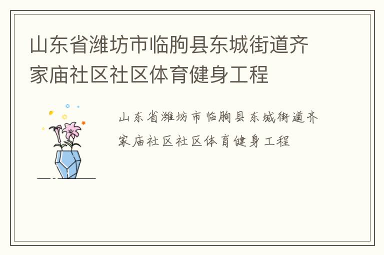 山東省濰坊市臨朐縣東城街道齊家廟社區(qū)社區(qū)體育健身工程