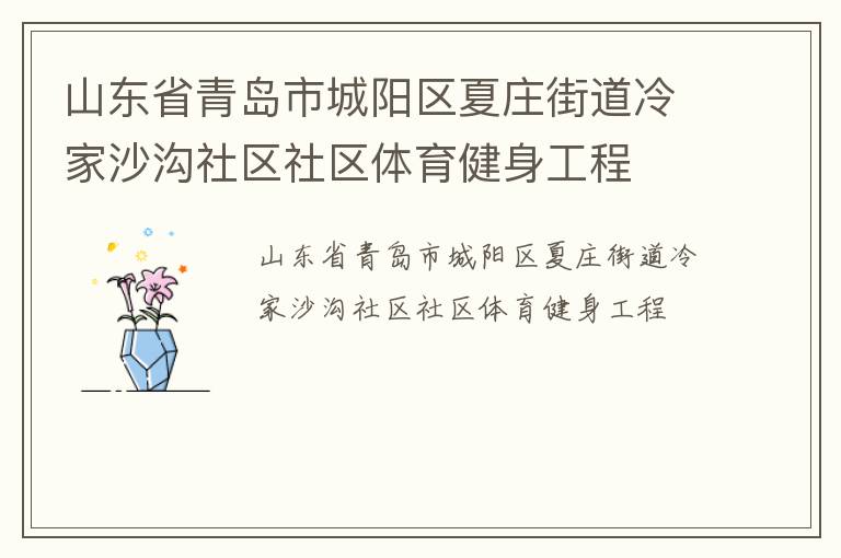 山東省青島市城陽(yáng)區(qū)夏莊街道冷家沙溝社區(qū)社區(qū)體育健身工程