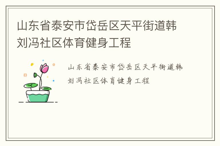 山東省泰安市岱岳區(qū)天平街道韓劉馮社區(qū)體育健身工程