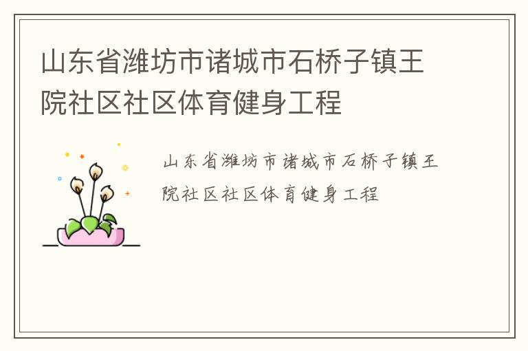 山東省濰坊市諸城市石橋子鎮(zhèn)王院社區(qū)社區(qū)體育健身工程