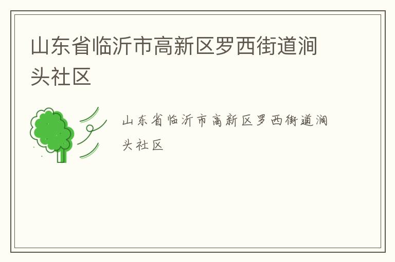 山東省臨沂市高新區(qū)羅西街道澗頭社區(qū)