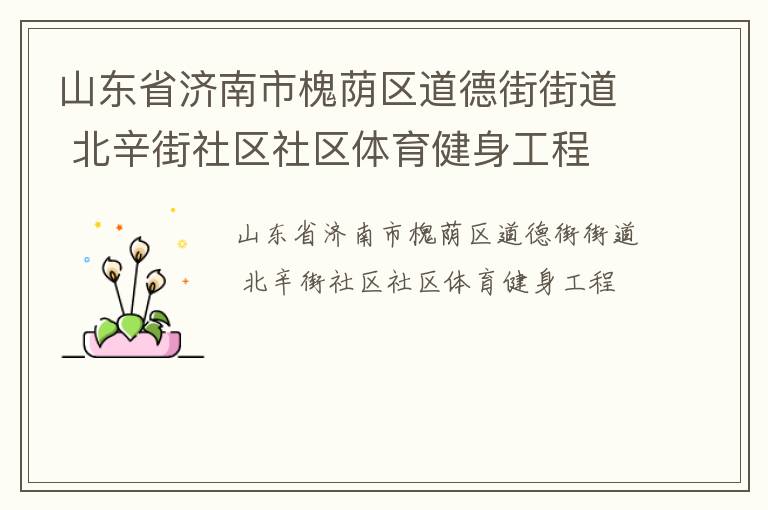 山東省濟南市槐蔭區(qū)道德街街道 北辛街社區(qū)社區(qū)體育健身工程