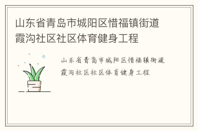 山東省青島市城陽區(qū)惜福鎮(zhèn)街道霞溝社區(qū)社區(qū)體育健身工程