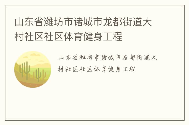 山東省濰坊市諸城市龍都街道大村社區(qū)社區(qū)體育健身工程