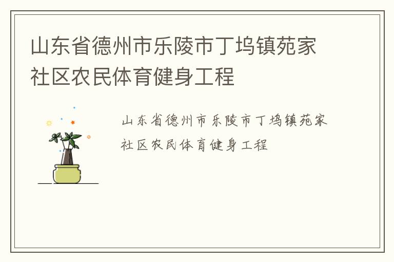 山東省德州市樂(lè)陵市丁塢鎮(zhèn)苑家社區(qū)農(nóng)民體育健身工程