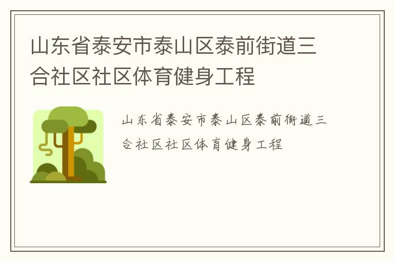 山東省泰安市泰山區(qū)泰前街道三合社區(qū)社區(qū)體育健身工程