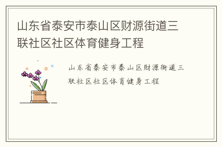 山東省泰安市泰山區(qū)財源街道三聯(lián)社區(qū)社區(qū)體育健身工程