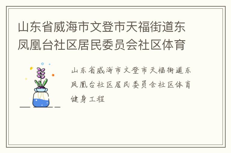 山東省威海市文登市天福街道東鳳凰臺(tái)社區(qū)居民委員會(huì)社區(qū)體育健身工程