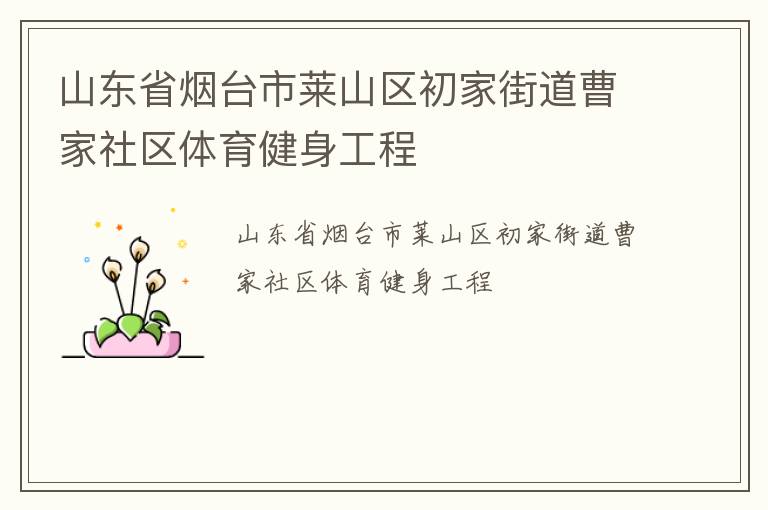 山東省煙臺(tái)市萊山區(qū)初家街道曹家社區(qū)體育健身工程