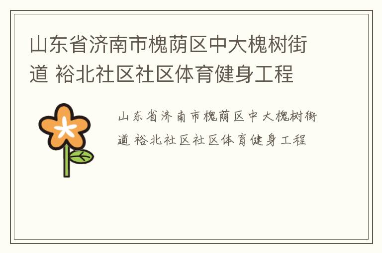 山東省濟南市槐蔭區(qū)中大槐樹街道 裕北社區(qū)社區(qū)體育健身工程