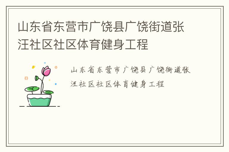山東省東營市廣饒縣廣饒街道張汪社區(qū)社區(qū)體育健身工程