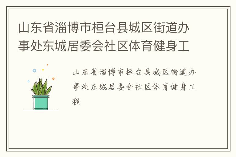 山東省淄博市桓臺(tái)縣城區(qū)街道辦事處東城居委會(huì)社區(qū)體育健身工程