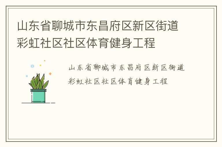 山東省聊城市東昌府區(qū)新區(qū)街道彩虹社區(qū)社區(qū)體育健身工程