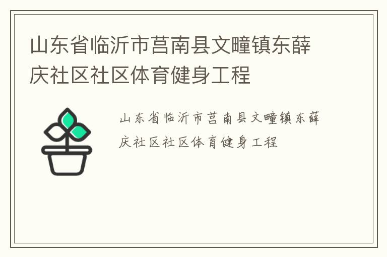 山東省臨沂市莒南縣文疃鎮(zhèn)東薛慶社區(qū)社區(qū)體育健身工程