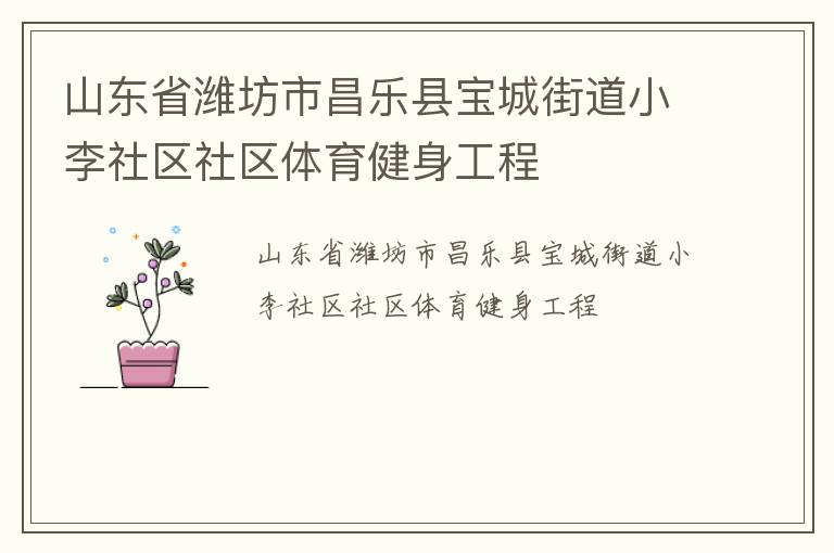 山東省濰坊市昌樂縣寶城街道小李社區(qū)社區(qū)體育健身工程