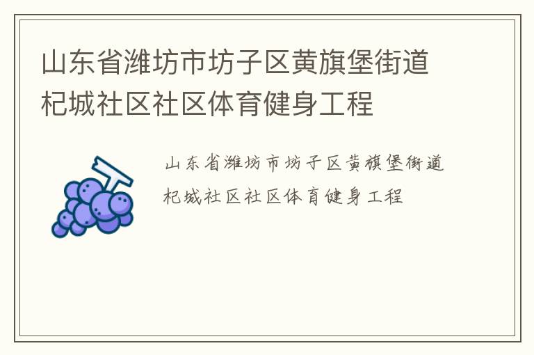 山東省濰坊市坊子區(qū)黃旗堡街道杞城社區(qū)社區(qū)體育健身工程