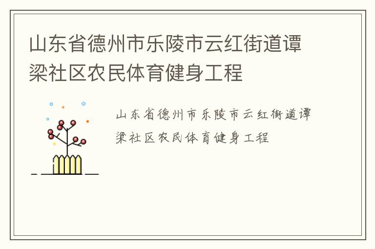 山東省德州市樂陵市云紅街道譚梁社區(qū)農(nóng)民體育健身工程