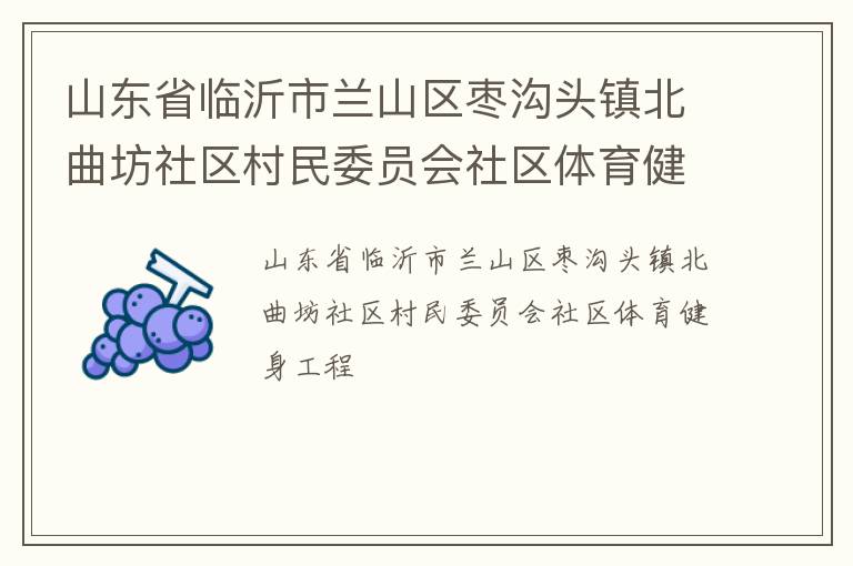 山東省臨沂市蘭山區(qū)棗溝頭鎮(zhèn)北曲坊社區(qū)村民委員會(huì)社區(qū)體育健身工程