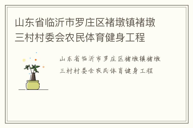 山東省臨沂市羅莊區(qū)褚墩鎮(zhèn)褚墩三村村委會農(nóng)民體育健身工程
