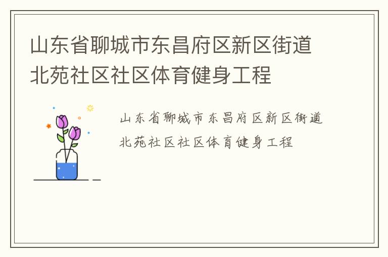 山東省聊城市東昌府區(qū)新區(qū)街道北苑社區(qū)社區(qū)體育健身工程