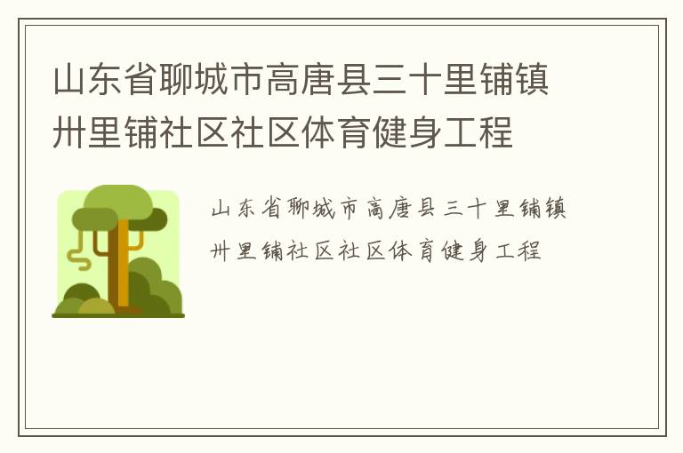 山東省聊城市高唐縣三十里鋪鎮(zhèn)卅里鋪社區(qū)社區(qū)體育健身工程