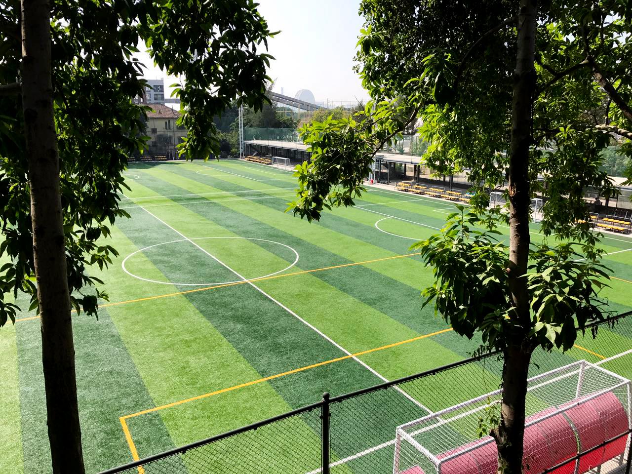 廣紙優(yōu)活足球場(chǎng)