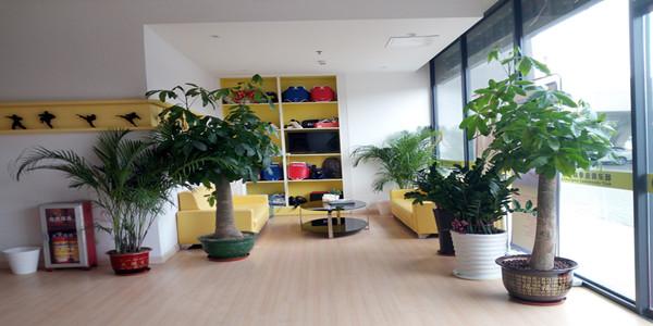 廣東省忠武跆拳道俱樂(lè)部