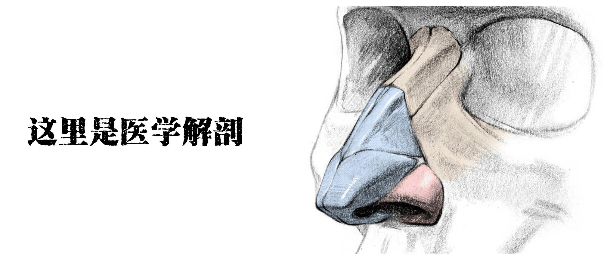 醫(yī)學(xué)生的考試到底有多難？看把學(xué)生都逼成啥樣了