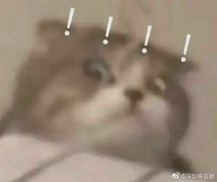 一學校家委會被投訴收班費向教師送禮，部門：未發(fā)現(xiàn)違規(guī)