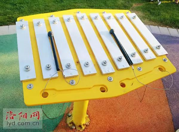 體育公園音樂(lè)區(qū) 體育公園音樂(lè)區(qū)