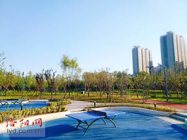 體育公園乒乓球區(qū) 體育公園乒乓球區(qū)