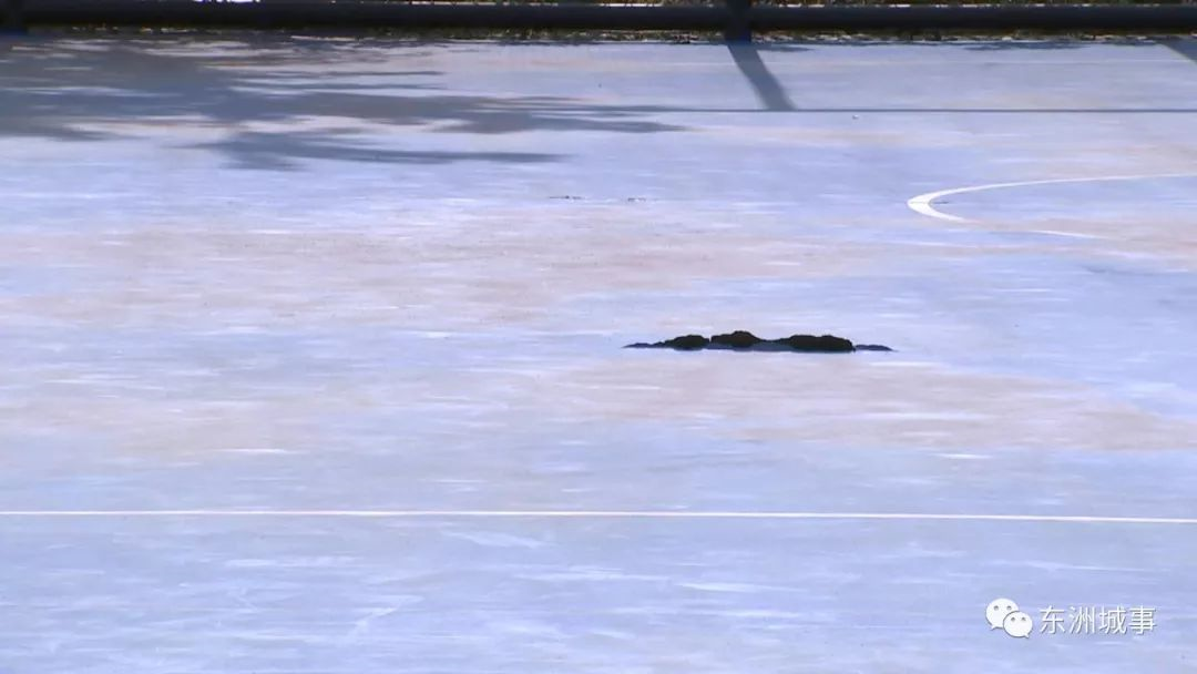 籃球場塑膠地面破裂修復(fù) 籃球場塑膠地面破裂修復(fù)