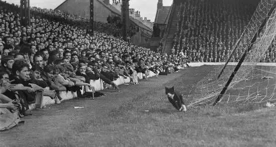 英超足球場 英超足球場