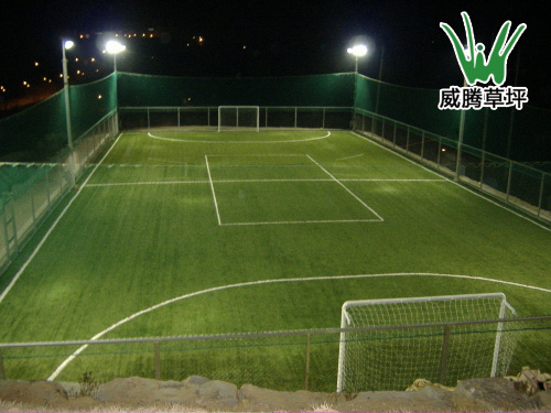 韓國(guó)人造草坪足球場(chǎng)-威騰人造草坪