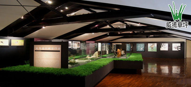 人造草坪藝術館裝飾圖片