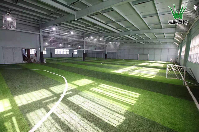天津人造草坪足球場