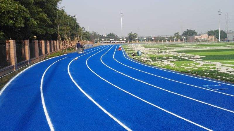 <a href=http://www.anhaohn.com target=_blank class=infotextkey>塑膠跑道</a>