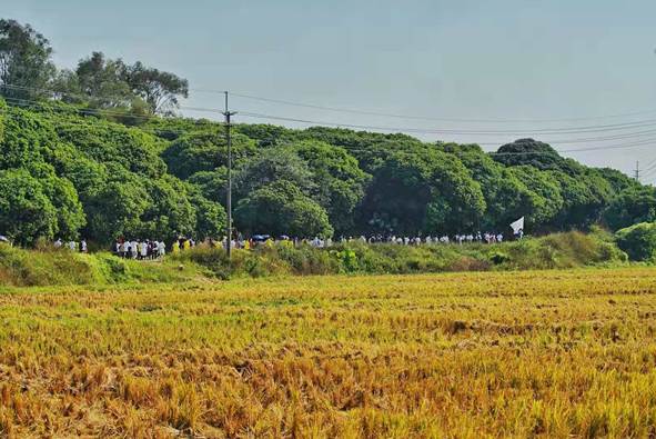 圖片包含 草, 戶外, 天空, 田野 描述已自動(dòng)生成