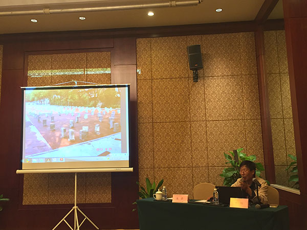 田徑場(chǎng)地 田徑場(chǎng)地