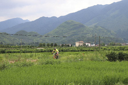 體育總局 體育總局